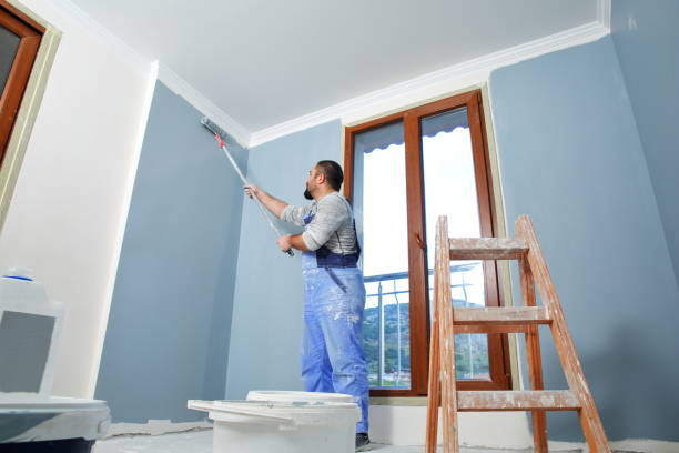 Best Mold Damage Restoration  in Fort Branch, IN