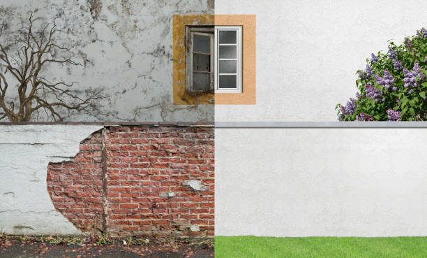 Best Water Damage & Mold Remediation  in Fort Branch, IN